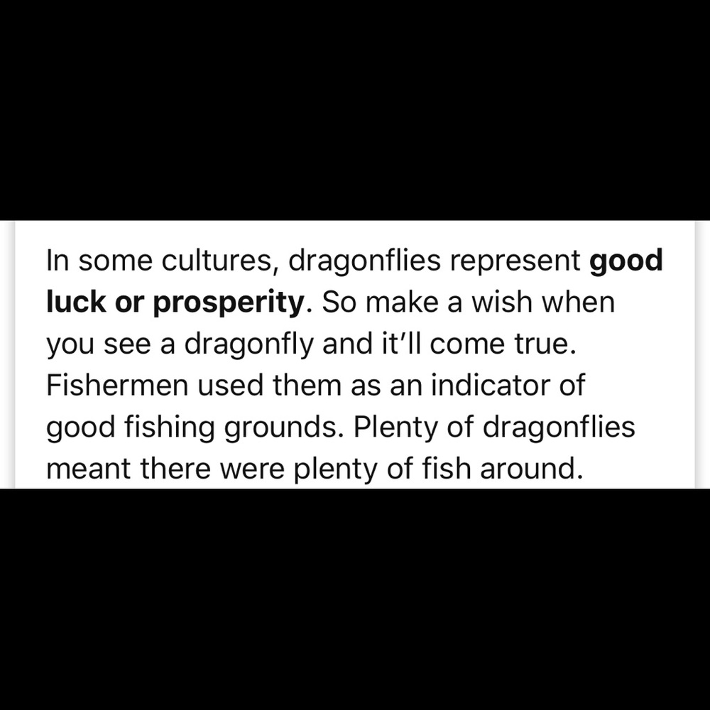 B3078 Perfect Composition Bracelet - image 4